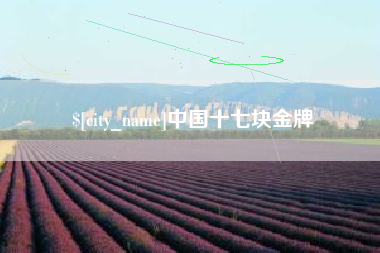 钟祥中国十七块金牌