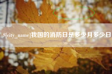 钟祥我国的消防日是多少月多少日