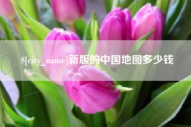 钟祥新版的中国地图多少钱