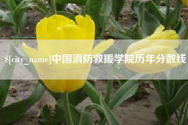 钟祥中国消防救援学院历年分数线