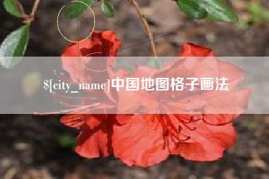 钟祥中国地图格子画法