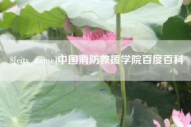 钟祥中国消防救援学院百度百科