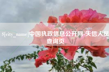 钟祥中国执政信息公开网-失信人员查询页