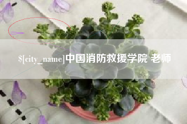 钟祥中国消防救援学院 老师