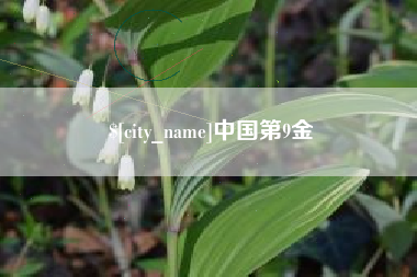 钟祥中国第9金