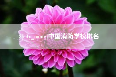 钟祥中国消防学校排名