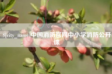钟祥中国消防官网中小学消防公开课