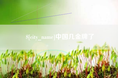钟祥中国几金牌了