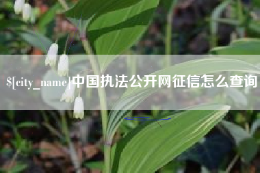 钟祥中国执法公开网征信怎么查询