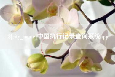钟祥中国执行记录查询系统app