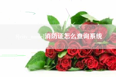 钟祥消防证怎么查询系统
