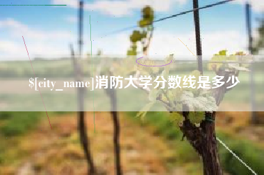 钟祥消防大学分数线是多少