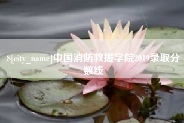 钟祥中国消防救援学院2019录取分数线