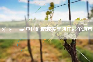 钟祥中国消防救援学院在那个地方