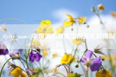 钟祥中国消防救援学院有年龄限制吗