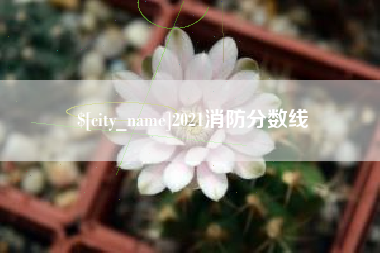 钟祥2021消防分数线
