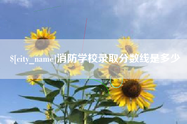钟祥消防学校录取分数线是多少