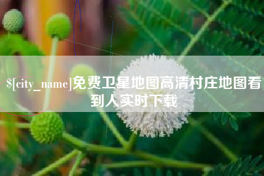 钟祥免费卫星地图高清村庄地图看到人实时下载
