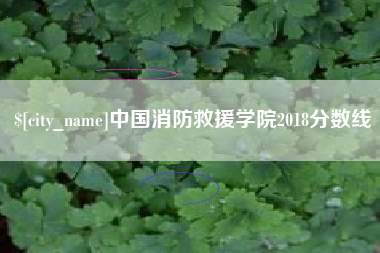 钟祥中国消防救援学院2018分数线