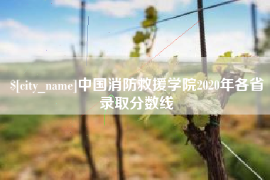 钟祥中国消防救援学院2020年各省录取分数线