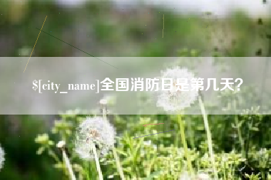 钟祥全国消防日是第几天？