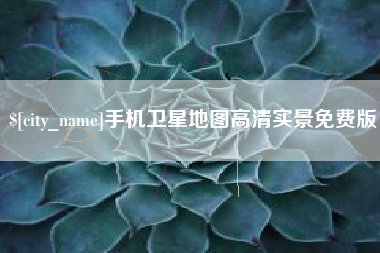 钟祥手机卫星地图高清实景免费版