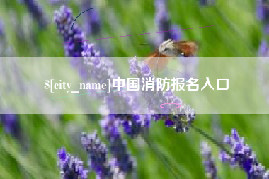 钟祥中国消防报名入口