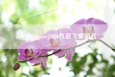 钟祥2020九宫飞星图片