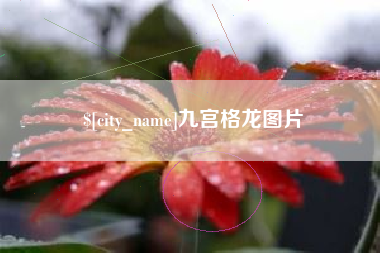 钟祥九宫格龙图片