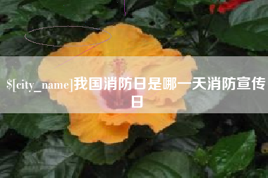 钟祥我国消防日是哪一天消防宣传日