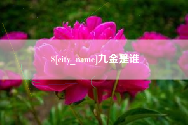 钟祥九金是谁