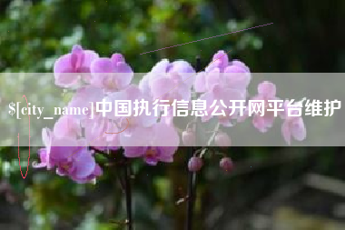 钟祥中国执行信息公开网平台维护