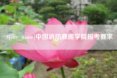 钟祥中国消防救援学院报考要求