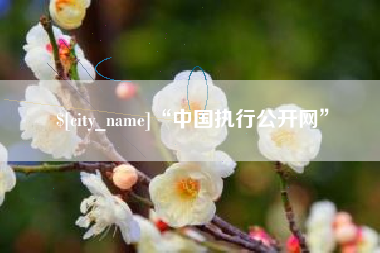 钟祥“中国执行公开网”