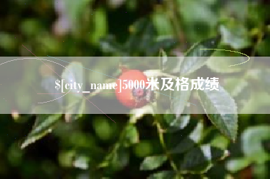 钟祥5000米及格成绩