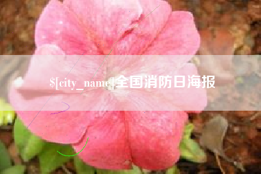 钟祥全国消防日海报