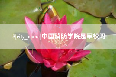 钟祥中国消防学院是军校吗