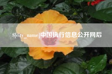 钟祥中国执行信息公开网后