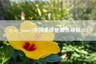 钟祥中国金牌是哪些项目2021