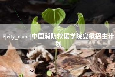 钟祥中国消防救援学院安徽招生计划