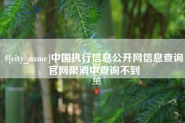 钟祥中国执行信息公开网信息查询官网限消中查询不到