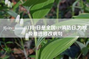 钟祥11月9日是全国119消防日,为积极推进修改病句