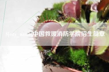 钟祥中国救援消防学院招生简章