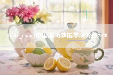 钟祥中国消防救援学院分数2020
