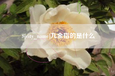 钟祥九金指的是什么