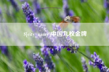 钟祥中国九枚金牌