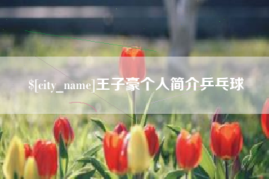钟祥王子豪个人简介乒乓球