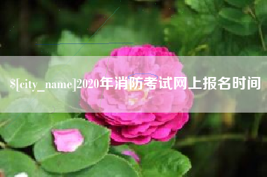 钟祥2020年消防考试网上报名时间