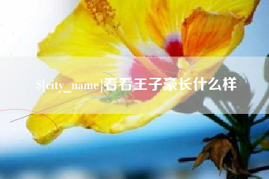 钟祥看看王子豪长什么样