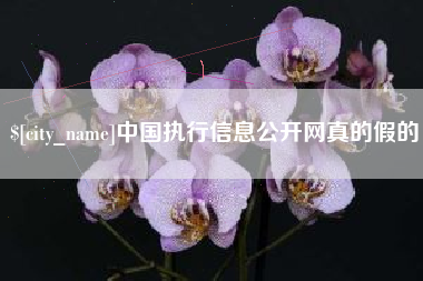 钟祥中国执行信息公开网真的假的